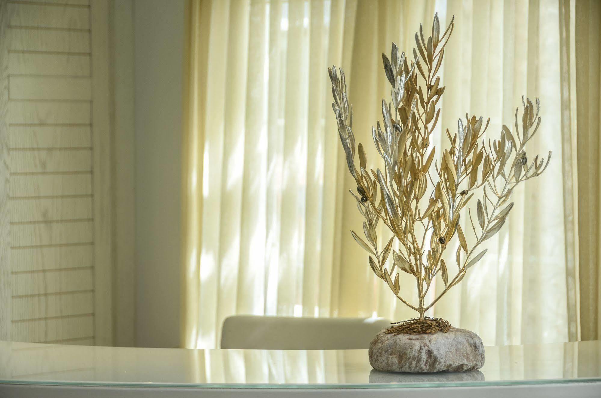 Adriani Hotel Naxos City Luaran gambar